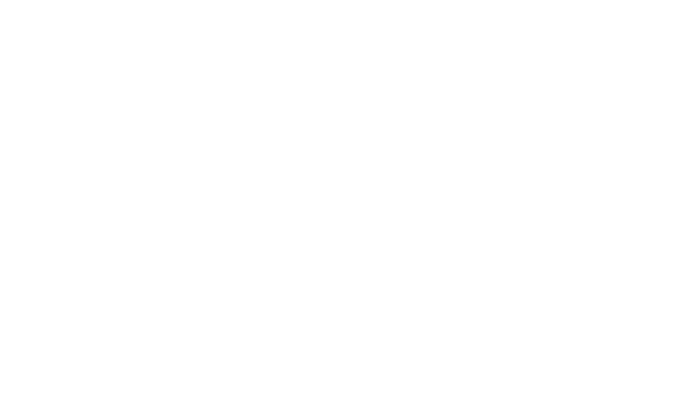 MINI City